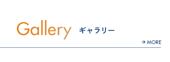 bnrhalf_gallery_off